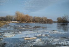 Квітневі барви